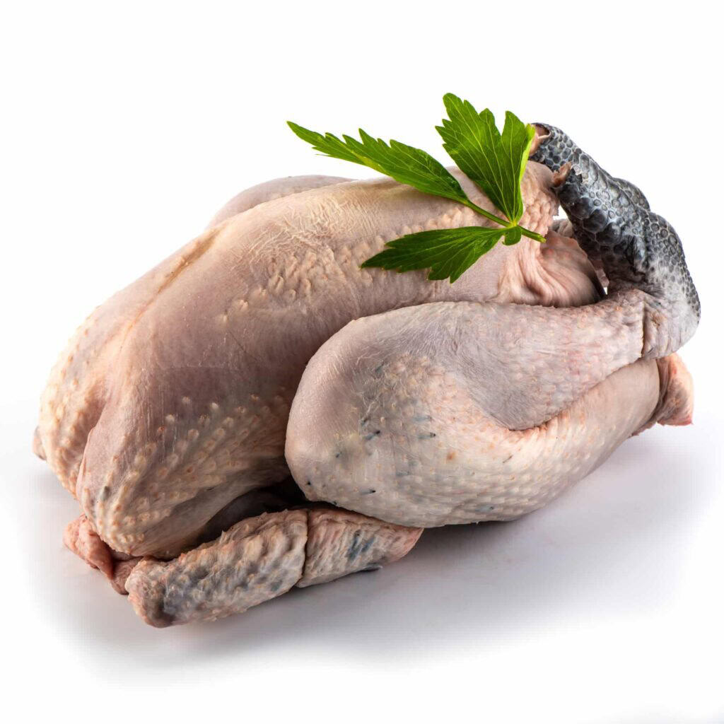 Shooting food design