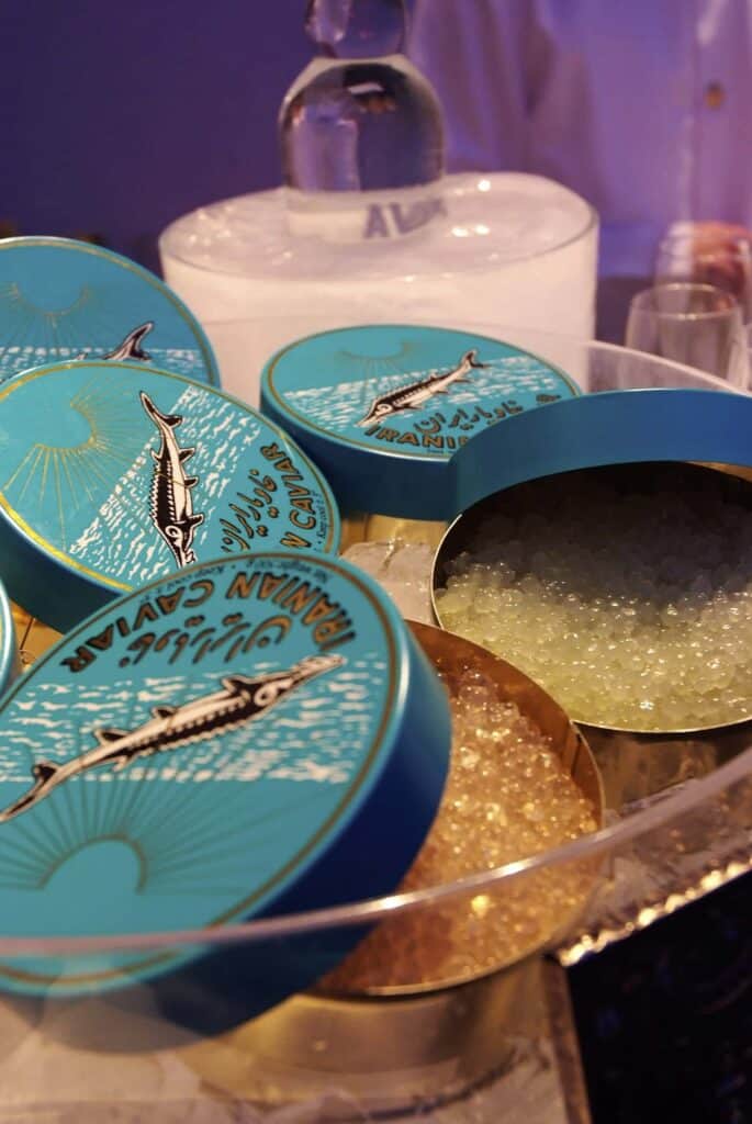 Shooting food design