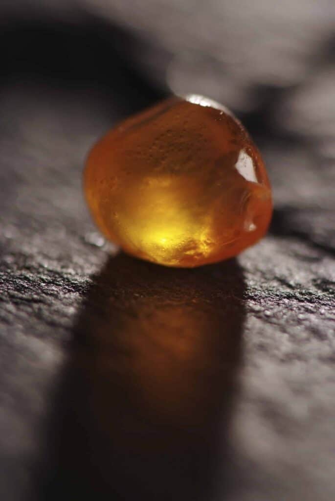 Shooting food design