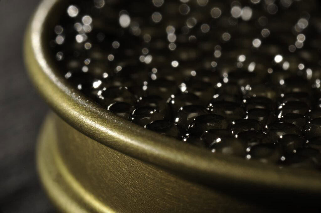 Shooting food design