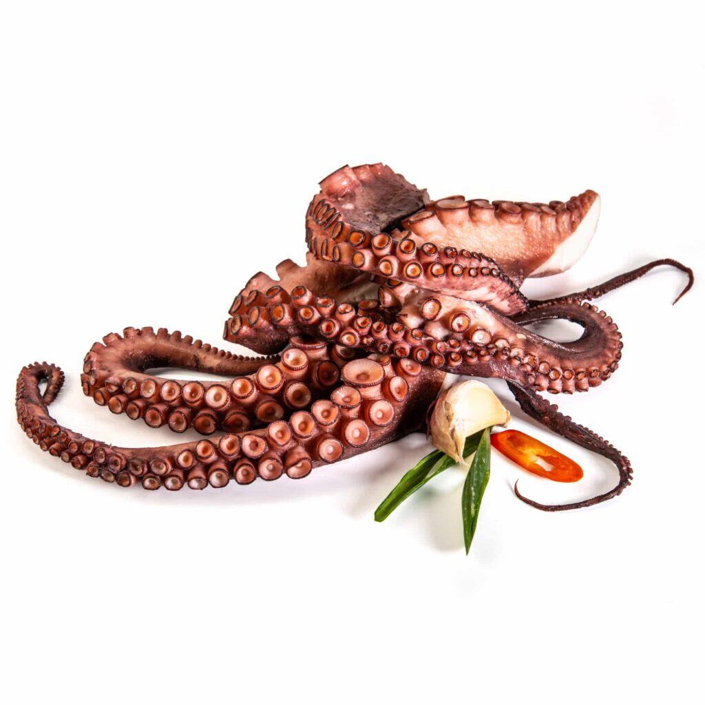 Shooting food design