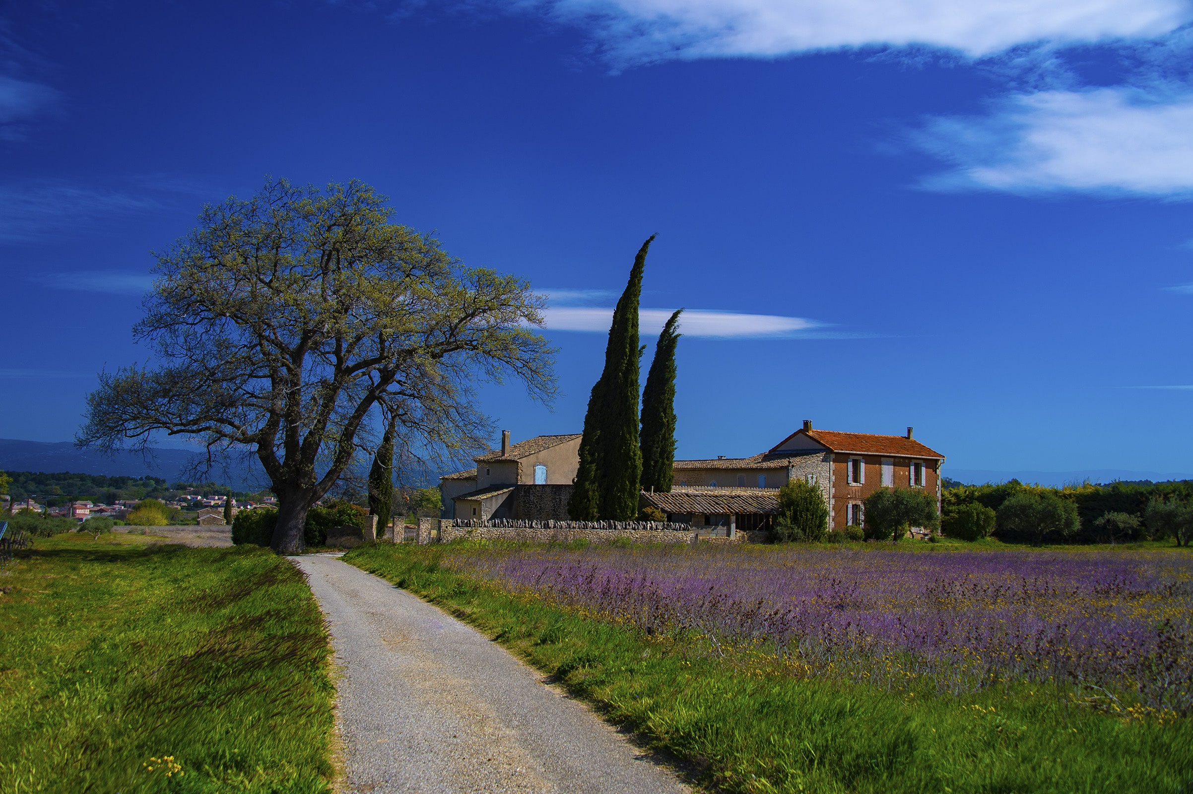 Provence Gordes